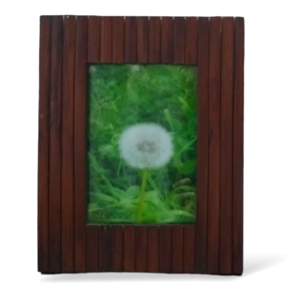 Original Signed Art Photography 'Dream Dandelion' Vintage Wood Frame